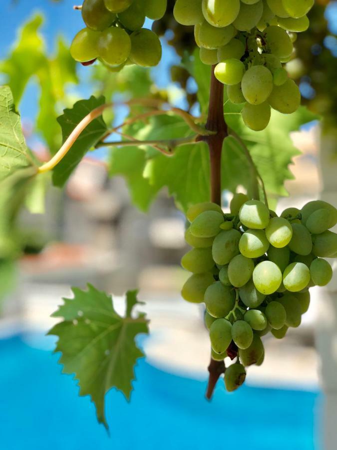 Apartman Dalmatien Traumhaus Makarska